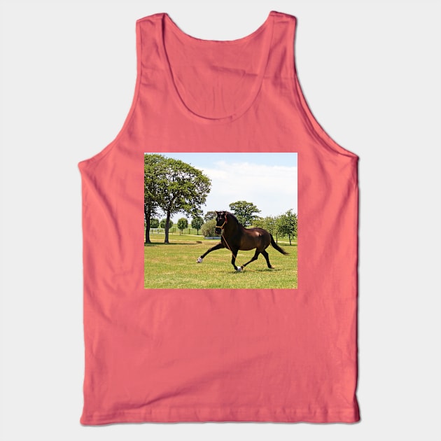 Watch Me Fly Tank Top by BecauseofHorses